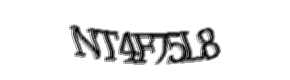 Security check image, please type the characters shown